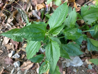 Similar image 22533046