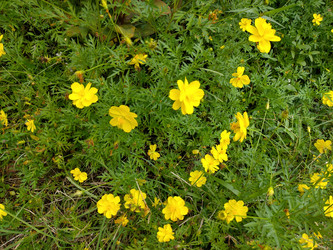 Similar image 22533069