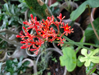 Similar image 22533088