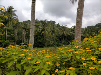 Similar image 22533112