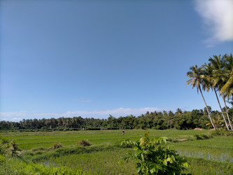 Similar image 22533135