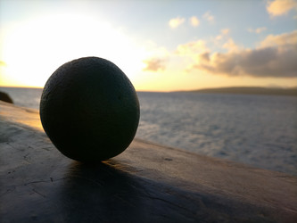 Similar image 22533159