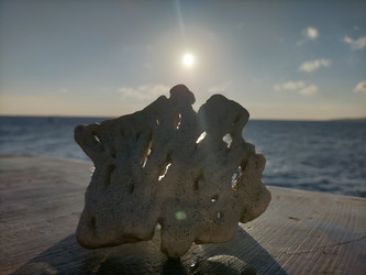 Similar image 22533179