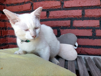 Similar image 22533205