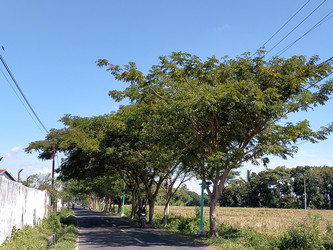 Similar image 22533228