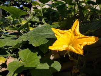 Similar image 22533256