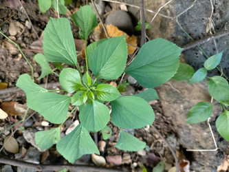 Similar image 22535688