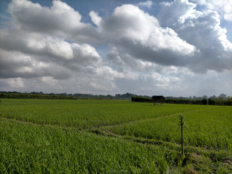 Similar image 22535689