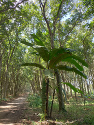 Similar image 22535719