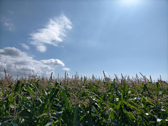 Similar image 22535749