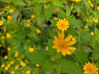 Similar image 22535763