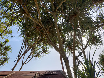 Similar image 22535764