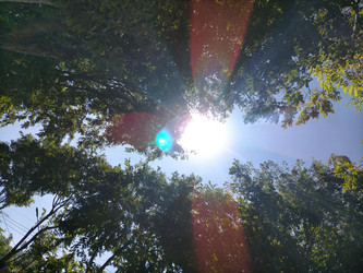 Similar image 22535810