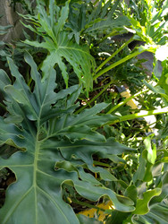 Similar image 22535811