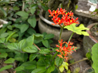 Similar image 22535884