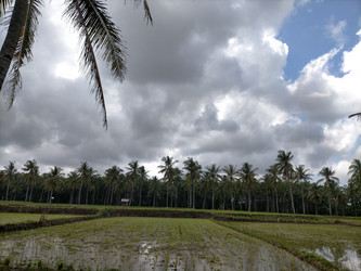 Similar image 22535929