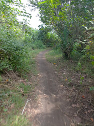 Similar image 22535930