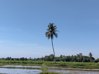 Similar image 22535943