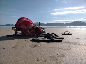 Similar image 22535944