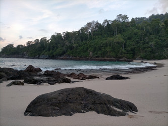 Similar image 22535959