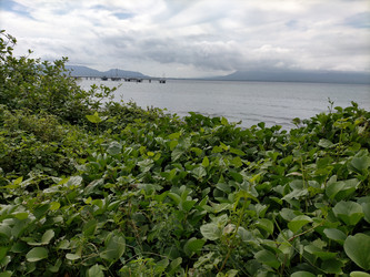 Similar image 22535988