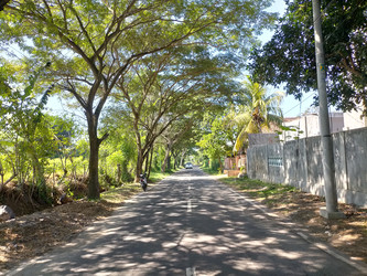 Similar image 22535989