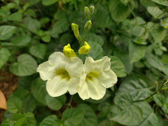 Similar image 22536003