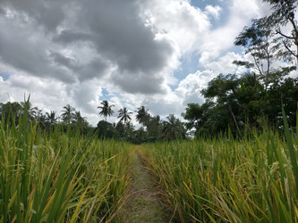 Similar image 22536004