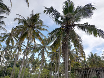 Similar image 22536020