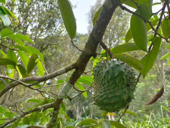 Similar image 22536048