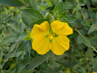 Similar image 22536064