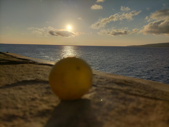 Similar image 22536081