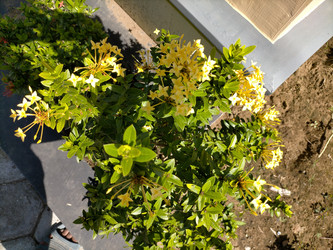 Similar image 22536095