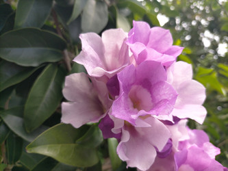 Similar image 22536110