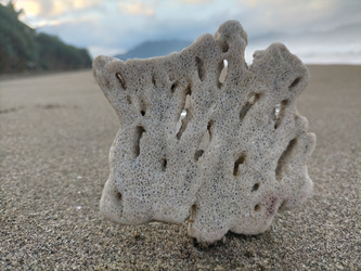 Similar image 22536111