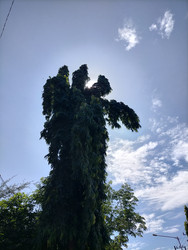 Similar image 22536169