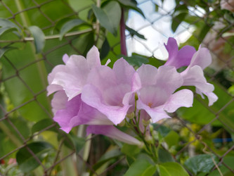 Similar image 22536186