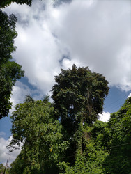 Similar image 22536215