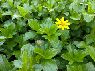 Similar image 22536230