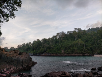 Similar image 22536243