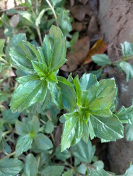 Similar image 22536333