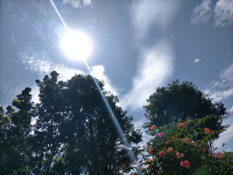 Similar image 22536334