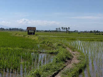 Similar image 22536363