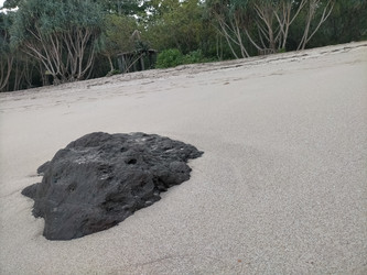 Similar image 22536378