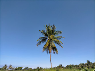 Similar image 22536395