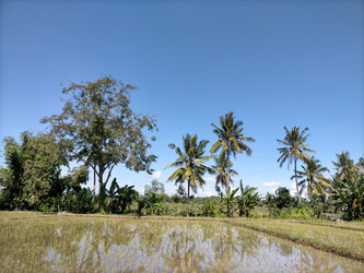 Similar image 22536396