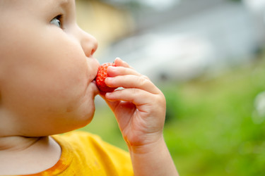 Similar image 22578523