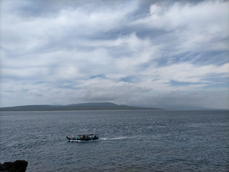 Similar image 22536424