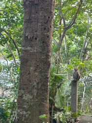 Similar image 22536440