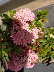 Similar image 22536453